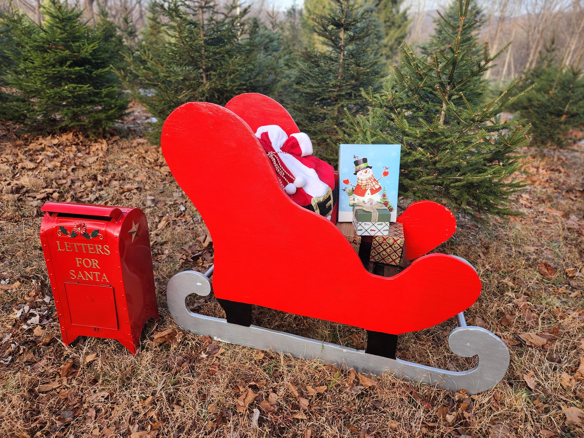 December 7, 2024, Hillside Tree Farm - Washington, NJ